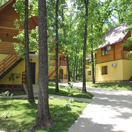 Hotel Вілія Lomacineţi Esterno foto