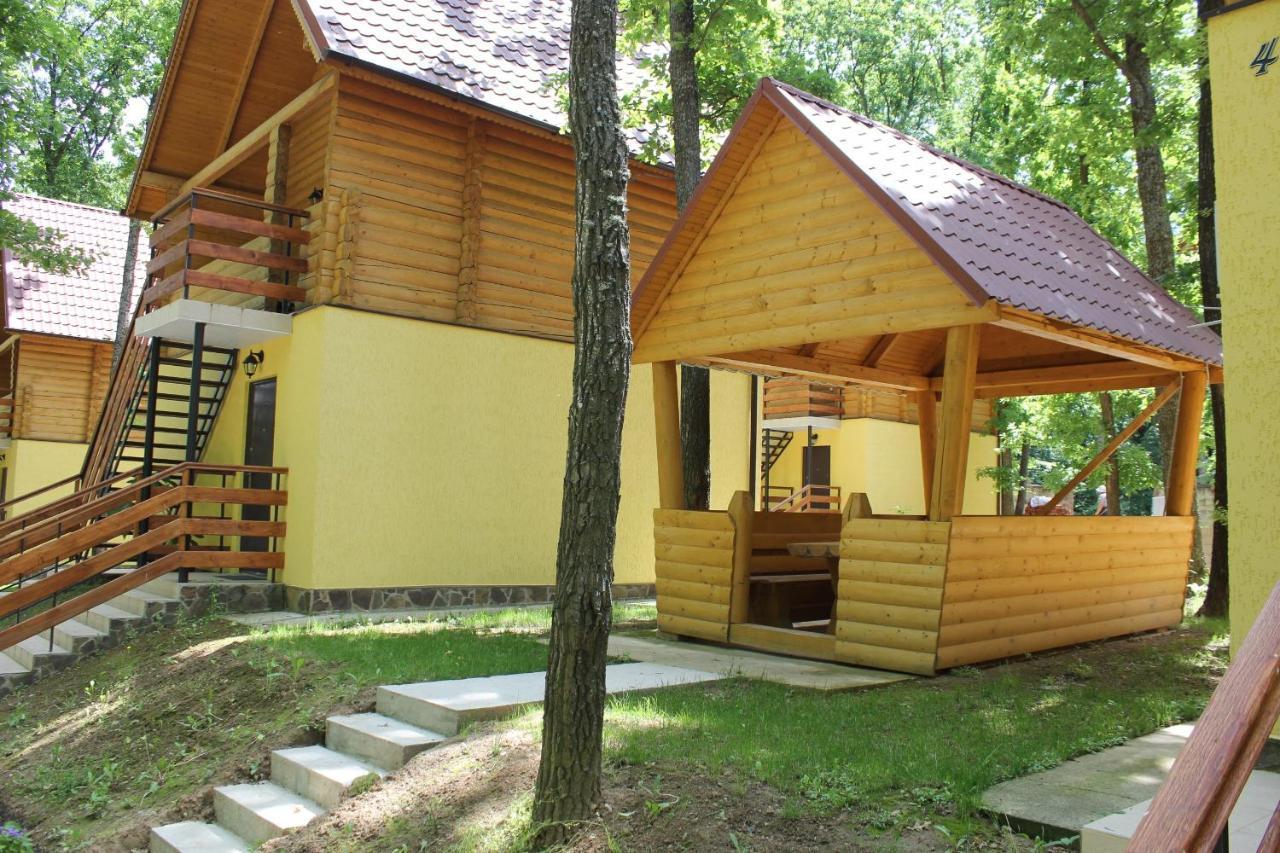 Hotel Вілія Lomacineţi Esterno foto