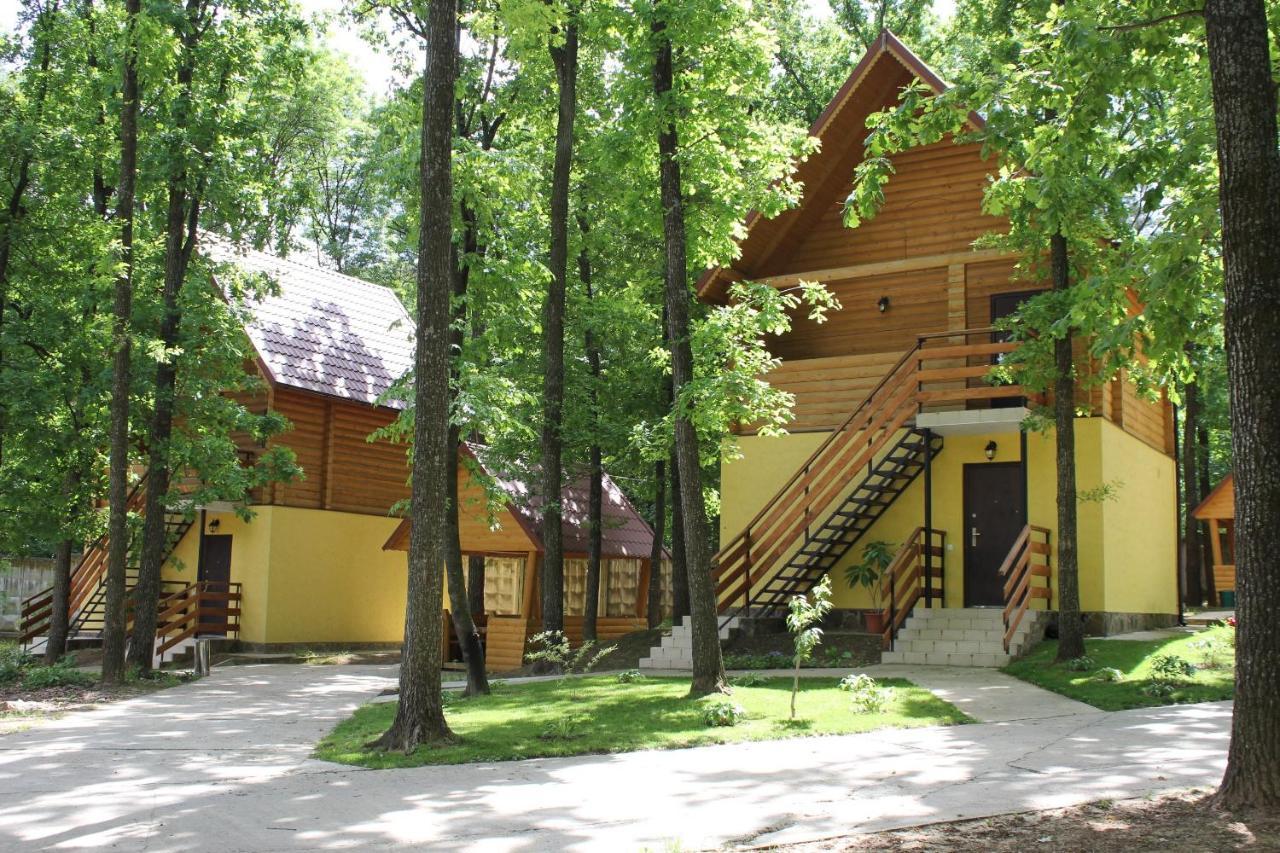Hotel Вілія Lomacineţi Esterno foto